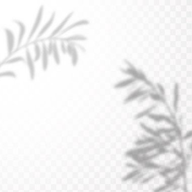 Gölgelerin örtülmesinin etkisi. Şeffaf kareli arka planda gerçekçi tropikal yapraklar ve dallar. Doğal ışık düzeni.