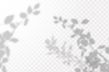 Gölgelerin örtülmesinin etkisi. Şeffaf kareli arka planda gerçekçi tropikal yapraklar ve dallar. Doğal ışık düzeni.