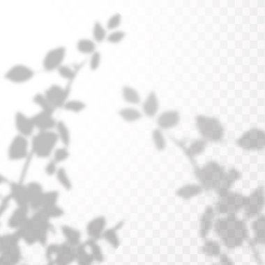 Gölgelerin örtülmesinin etkisi. Şeffaf kareli arka planda gerçekçi tropikal yapraklar ve dallar. Doğal ışık düzeni.