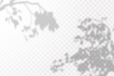 Gölgelerin örtülmesinin etkisi. Şeffaf kareli arka planda gerçekçi tropikal yapraklar ve dallar. Doğal ışık düzeni.