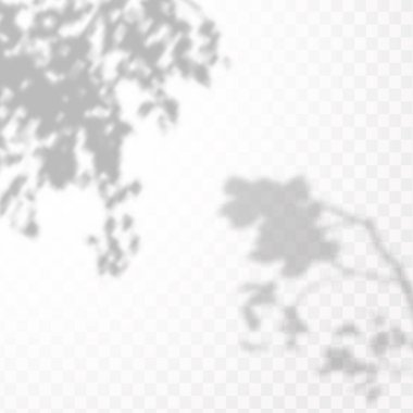 Gölgelerin etkisi. Doğal ışık düzeni. Şeffaf kareli arka planda tropikal yaprakların gerçekçi gölgesi veya dalları.