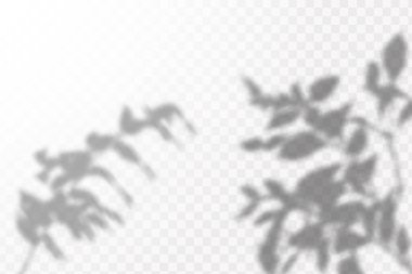 Gölgelerin etkisi. Doğal ışık düzeni. Şeffaf kareli arka planda tropikal yaprakların gerçekçi gölgesi veya dalları.