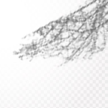 Gölgelerin etkisi. Doğal ışık düzeni. Şeffaf kareli arka planda tropikal yaprakların gerçekçi gölgesi veya dalları.