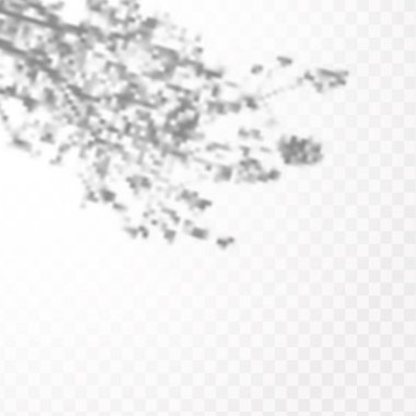 Gölgelerin etkisi. Doğal ışık düzeni. Şeffaf kareli arka planda tropikal yaprakların gerçekçi gölgesi veya dalları.