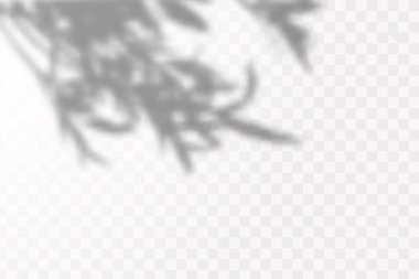 Gölgelerin etkisi. Doğal ışık düzeni. Şeffaf kareli arka planda tropikal yaprakların gerçekçi gölgesi veya dalları.