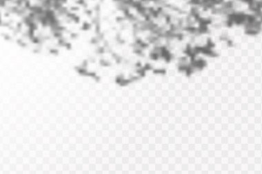 Gölgelerin etkisi. Doğal ışık düzeni. Şeffaf kareli arka planda tropikal yaprakların gerçekçi gölgesi veya dalları.