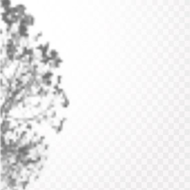 Gölgelerin etkisi. Doğal ışık düzeni. Şeffaf kareli arka planda tropikal yaprakların gerçekçi gölgesi veya dalları.