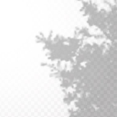 Gölgelerin etkisi. Doğal ışık düzeni. Şeffaf kareli arka planda gerçekçi tropik yapraklar ve dallar..