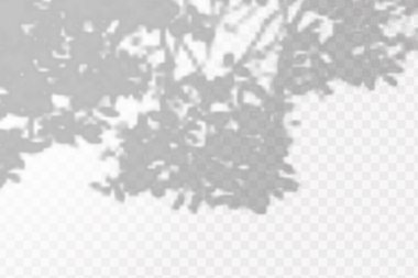 Gölgelerin etkisi. Doğal ışık düzeni. Şeffaf kareli arka planda gerçekçi tropik yapraklar ve dallar..