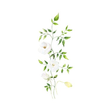 Düğün veya tebrik kartı için botanik kompozisyonu. Anneler Günü, düğün, doğum günü, Paskalya, Sevgililer Günü için. Suluboya çiçekli arka plan, çiçek resimli..