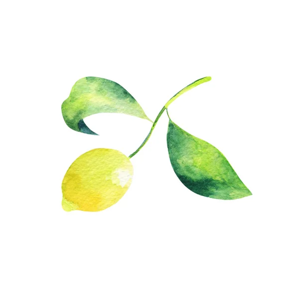 Realistic Illustration One Half Lemon Two Leaves — Φωτογραφία Αρχείου