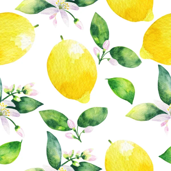 白地に水彩画を手描き 葉と柑橘系のレモンの枝の水彩シームレスなパターン — ストック写真