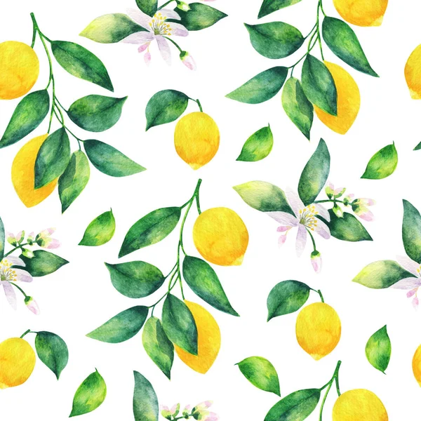 白地に水彩画を手描き 葉と柑橘系のレモンの枝の水彩シームレスなパターン — ストック写真