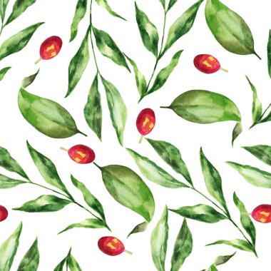 Beyaz arka planda elle çizilmiş suluboya resim. Yapraklı ve fasulyeli bir kahve dalının suluboya çizimi..