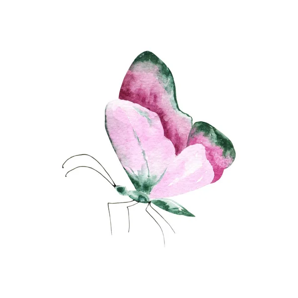 Смешанные Медиа Art Hand Нарисованные Акварелью Яркие Красочные Реалистичные Бабочки — стоковое фото