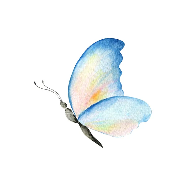 Mixed Media Art Hand Drawn Watercolor Bright Colorful Realistic Butterflies — Stock Photo, Image