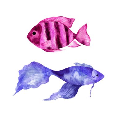 Denizin ya da okyanusun sualtı dünyası. Suluboya tropikal balıklar..