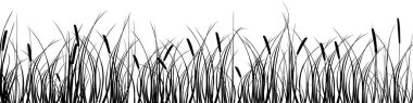 Vektör illüstrasyonu.Beyaz arka planda siyah sazlıklar, sazlıklar, sazlıklar, bastonlar, boğalar veya çimenler..