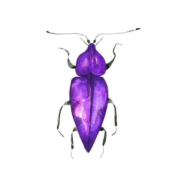 Desenho Fundo Realista Desenhado Mão Ilustração Aquarela Bug Colorido Fundo — Fotografia de Stock