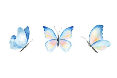 El çizimi çizimi. Renkli suluboya kelebekler..