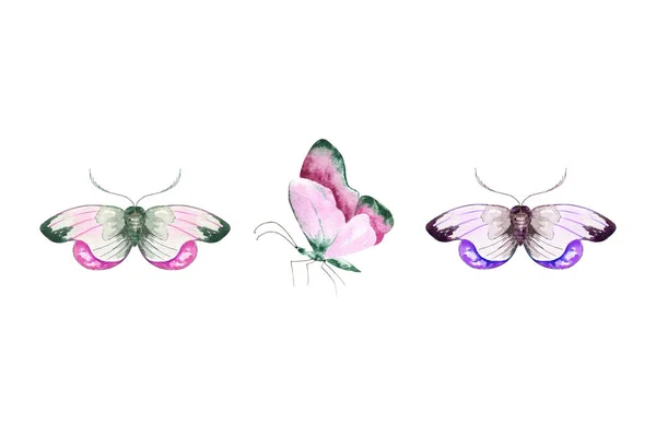 Cuadro Dibujado Mano Conjunto Coloridas Mariposas Acuarela — Foto de Stock