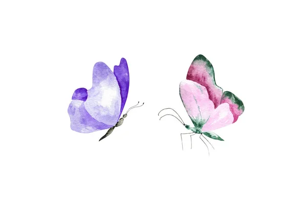 Hand drawn illustration.Set of colorful watercolor butterflies.