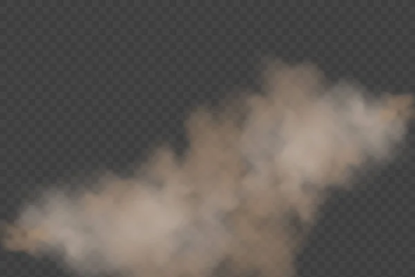 透明な背景に隔離された現実的なベクトル タバコの煙 スモッグ 砂粒子を含む塵の雲 コンセプトハウスクリーニング 大気汚染 大爆発 砂漠の砂嵐 — ストックベクタ