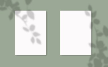 Modern minimalist doğal aydınlatma sahneleri. Sunum posteri, boş, el ilanı, davetiye, logo için kağıtların üzerine gölge efekti bırakın..