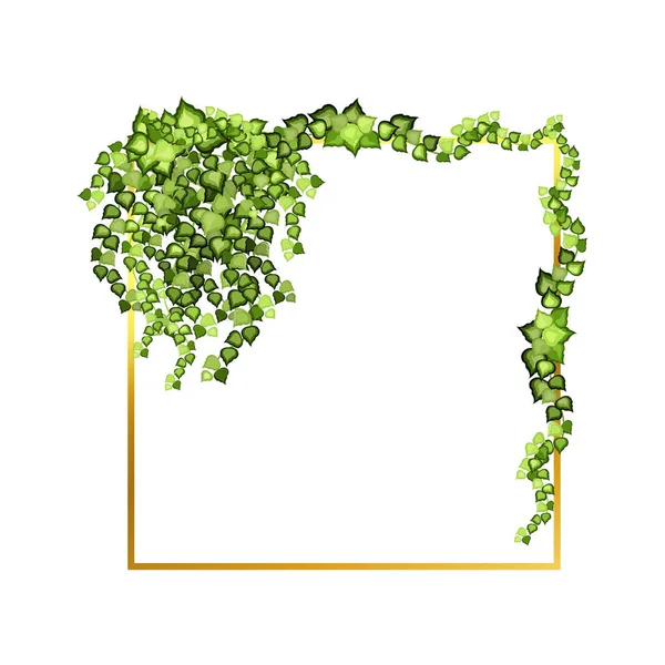 Abstract Invitation Design Leaves Tvigs Geometric Frame Golden Frame Green — Vetor de Stock