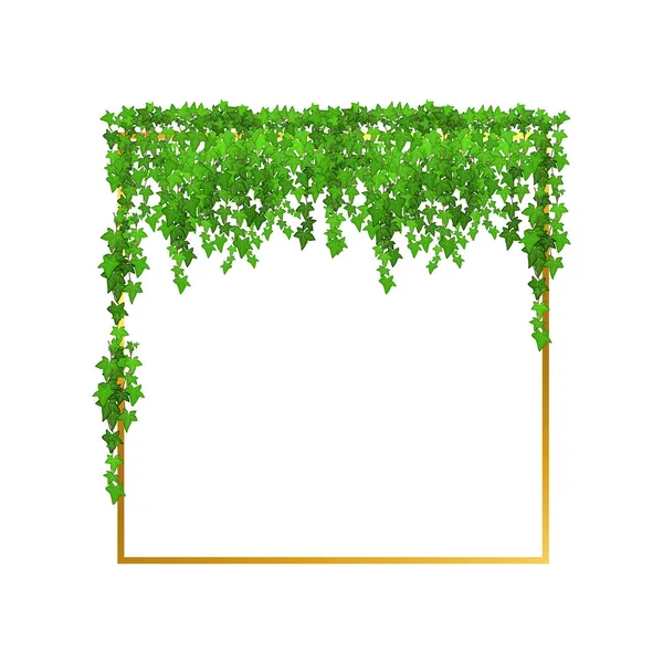 Abstract Invitation Design Leaves Tvigs Geometric Frame Golden Frame Green —  Vetores de Stock
