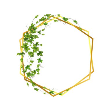 Decorative column for garden or home.Green vine, creeper or ivy hanging from above or climbing the wall.Template on white background