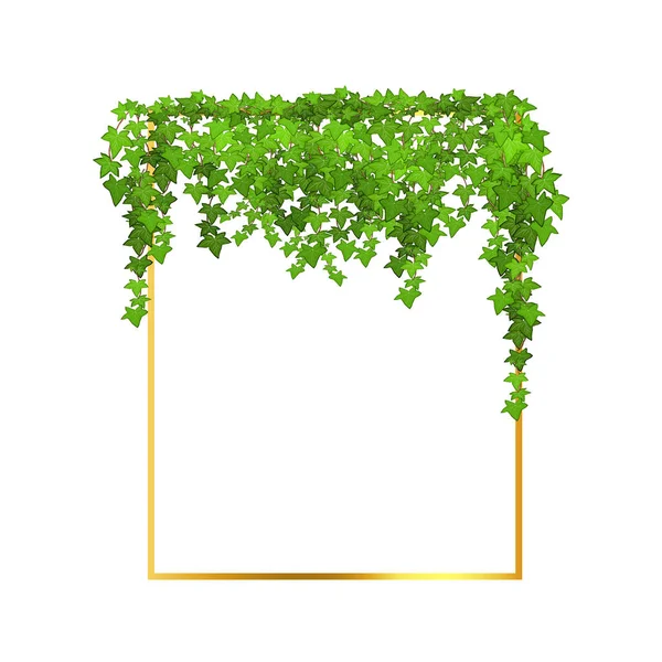 Abstract Invitation Design Leaves Tvigs Geometric Frame Golden Frame Green — Stockvector
