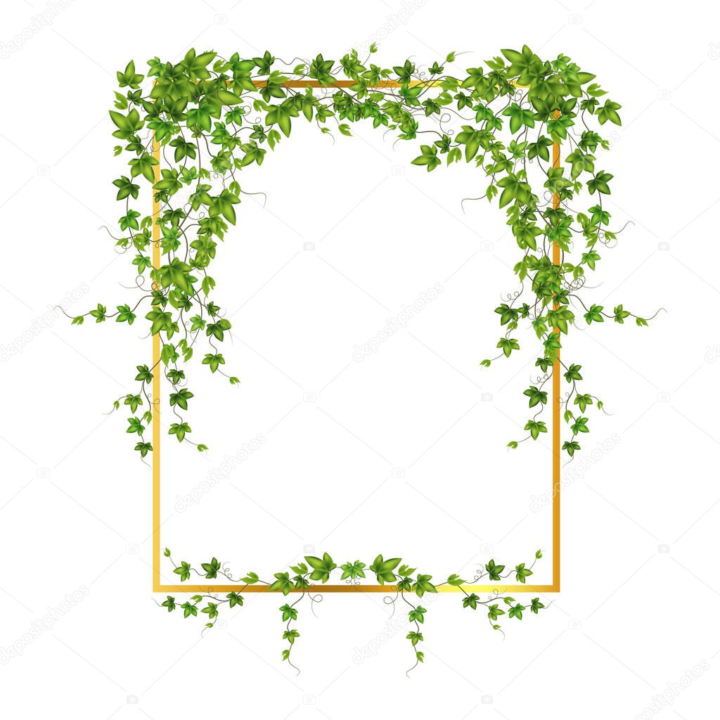 Abstract invitation design with leaves, tvigs and geometric frame.Golden frame with green branchHerbal minimalistic vector frame.Greenery wedding square invitation.