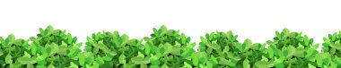 Realistic garden shrub, seasonal bush, boxwood, tree crown bush foliage.Ornamental green plant in the form of a hedge.For decorate of a park, a garden or a green fence.