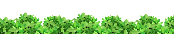 Realistic Garden Shrub Seasonal Bush Boxwood Tree Crown Bush Foliage — Stock vektor