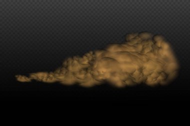 Trace on a dusty road or highway from a car.A cloud of brown dust and sand with particles of flying dry sand and dirt.Clubs of dark smoke.Realistic illustration on a transparent background.