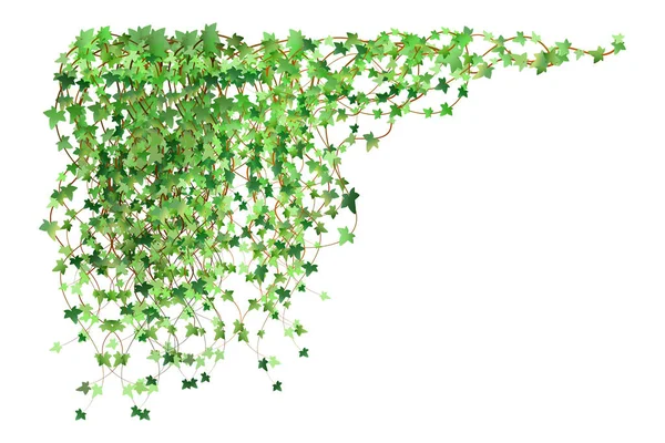 Decoration Garden Home Green Vine Creeper Ivy Hanging Climbing Wall — Vetor de Stock