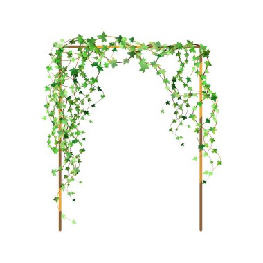 Decoration for garden or home.Green vine, creeper or ivy hanging from above or climbing the wall.Template on white background.