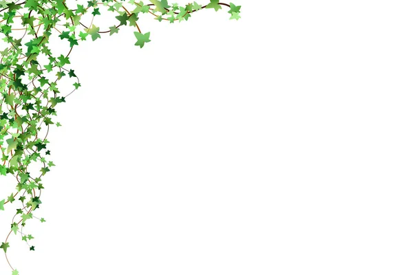 Decoration Garden Home Green Vine Creeper Ivy Hanging Climbing Wall — Stockvector