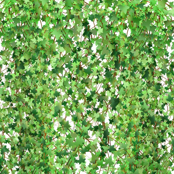 Decoration Garden Home Green Vine Creeper Ivy Hanging Climbing Wall — 图库矢量图片