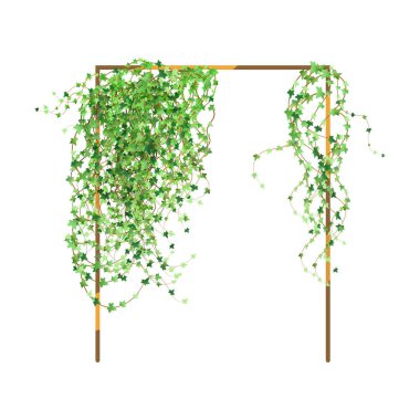 Decorative column for garden or home.Green vine, creeper or ivy hanging from above or climbing the wall.Template on white background.