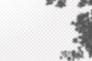 Gölgelerin etkisi. Doğal ışık düzeni. Şeffaf kareli arka planda tropikal yaprakların gerçekçi gölgesi veya dalları.