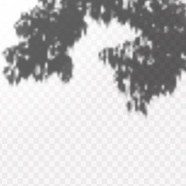 Gölgelerin etkisi. Doğal ışık düzeni. Şeffaf kareli arka planda tropikal yaprakların gerçekçi gölgesi veya dalları.