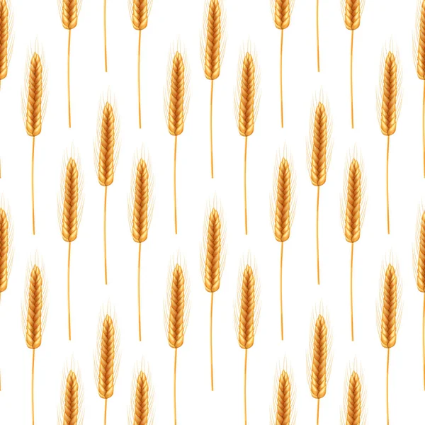 种子植物 有机耕作农场的真实写照 茎的无缝图案 — 图库矢量图片