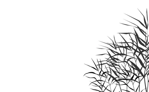 白色背景上单色芦苇或凸起物的图像 — 图库矢量图片
