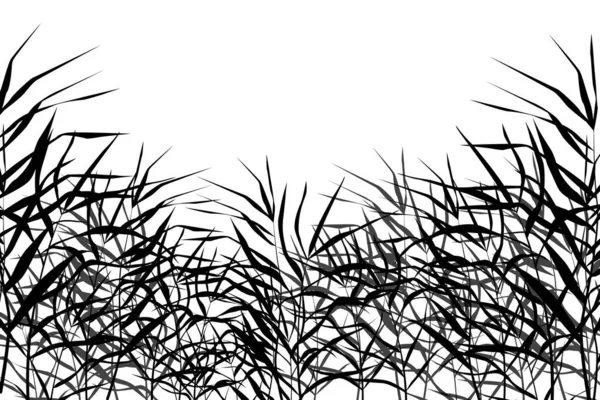 白色背景上单色芦苇或凸起物的图像 — 图库矢量图片
