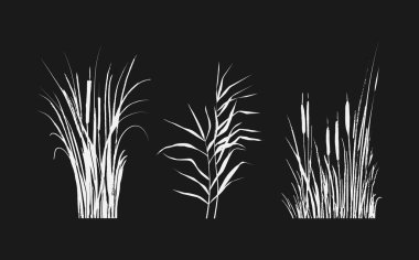 İzole vektör çizimi. Siyah arkaplanda beyaz kamış resmi veya kabarıklık..
