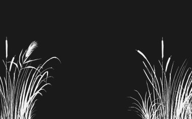 İzole vektör çizimi. Siyah arkaplanda beyaz kamış resmi veya kabarıklık..