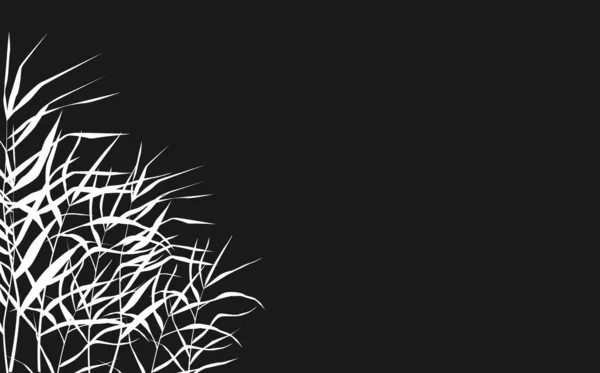 Dessin Vectoriel Isolé Image Roseau Blanc Scirpe Sur Fond Noir — Image vectorielle