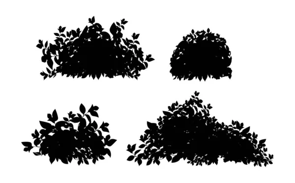 现实的花园灌木 季节性灌木 黄杨木 树冠灌木叶 用作公园 花园或栅栏的装饰 一套以树篱为形式的黑色观赏植物 — 图库矢量图片